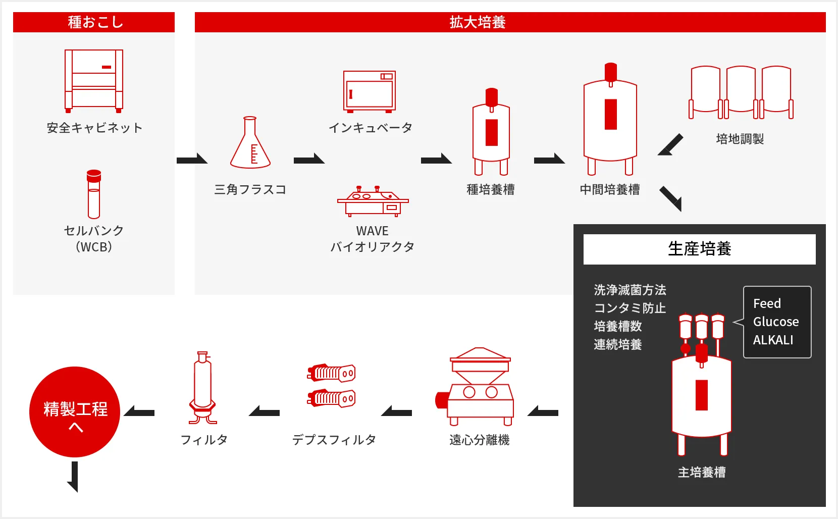 バイオ製造における培養工程のフロー図。種おこし（安全キャビネット・セルバンク）から拡大培養（三角フラスコ・インキュベータ・WAVEバイオリアクタ・種培養槽・中間培養槽）、生産培養（主培養槽）を経て、遠心分離機・デプスフィルタ・フィルタを通り精製工程へ至る流れを示した図
