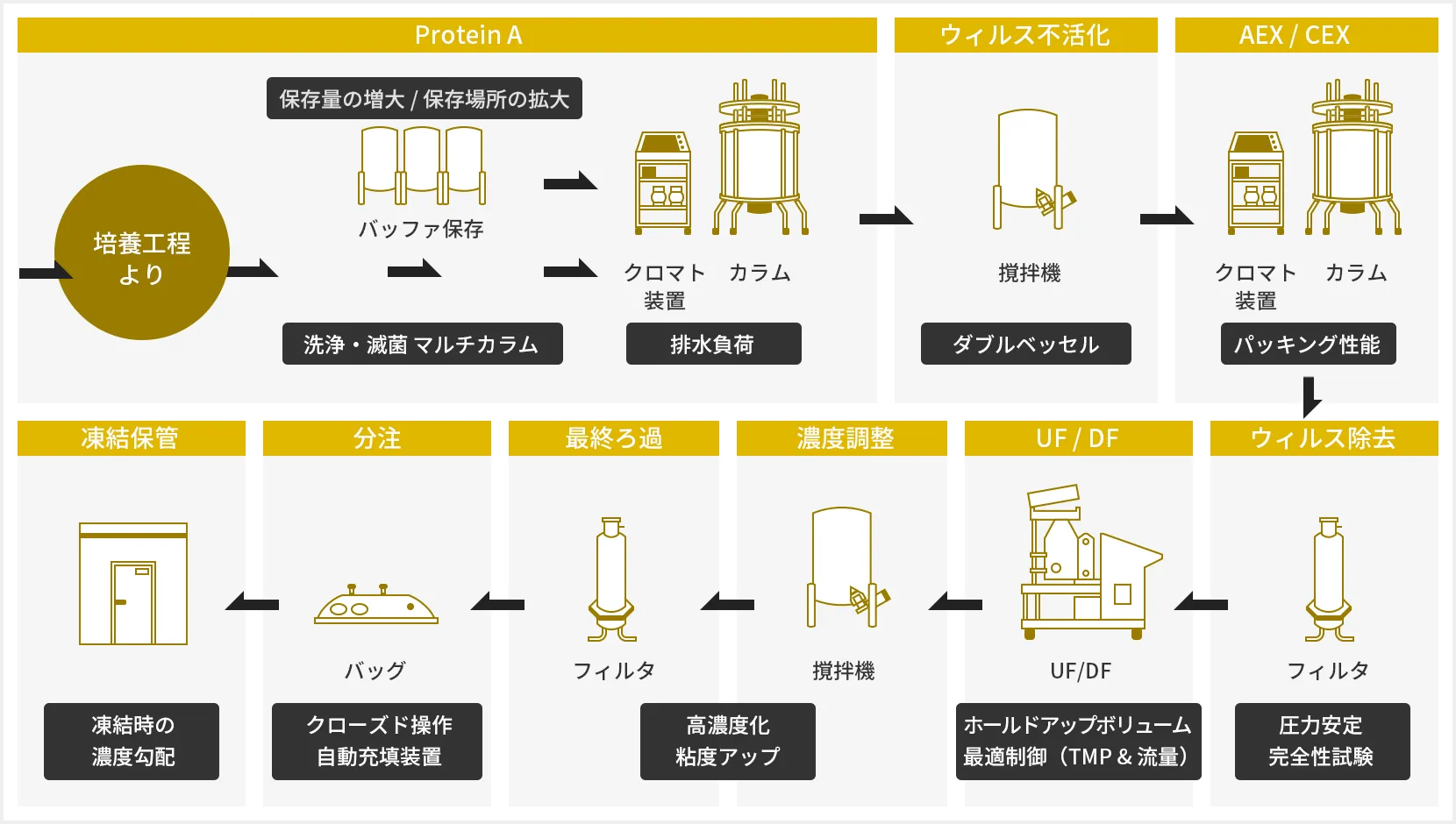 バイオ製造における精製工程のフロー図。培養工程からProtein A（クロマト・カラム装置）→ウィルス不活化→AEX/CEX→ウィルス除去→UF/DF→濃度調整→最終ろ過→分注→凍結保管へ至る一連の工程と各工程の主要設備・技術的ポイントを示した図