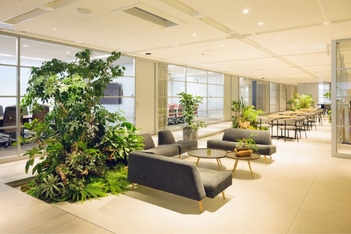 観葉植物が配置された開放的でモダンなオフィススペース